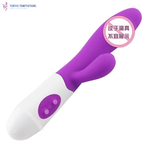 Dual Vibration G Spot Rabbit Vibrator Silicone Waterproof Purple